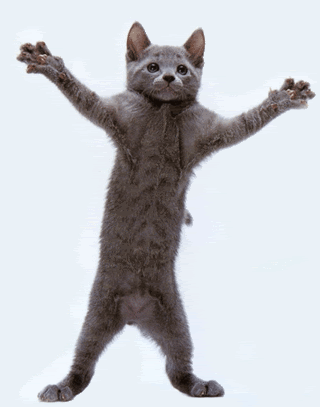 th_Animated_Dancing_Cat_2-1.gif